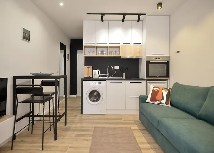 Central Apartament *