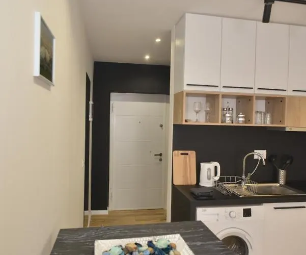 Apartament Central *